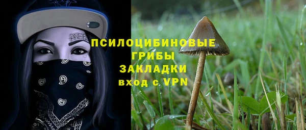 Альфа ПВП Алексин