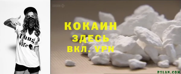 молекула духа Протвино